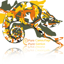 Chameleon Illustration